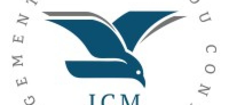 Programme du lancement de l’ICM